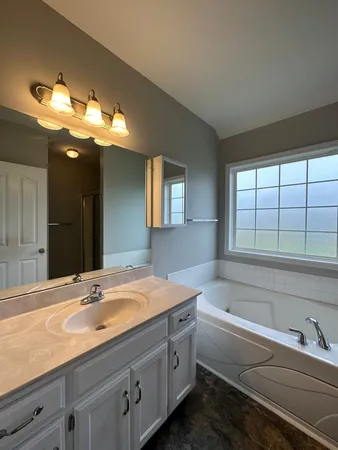 a bathroom with a sink a large mirror and a bathtub