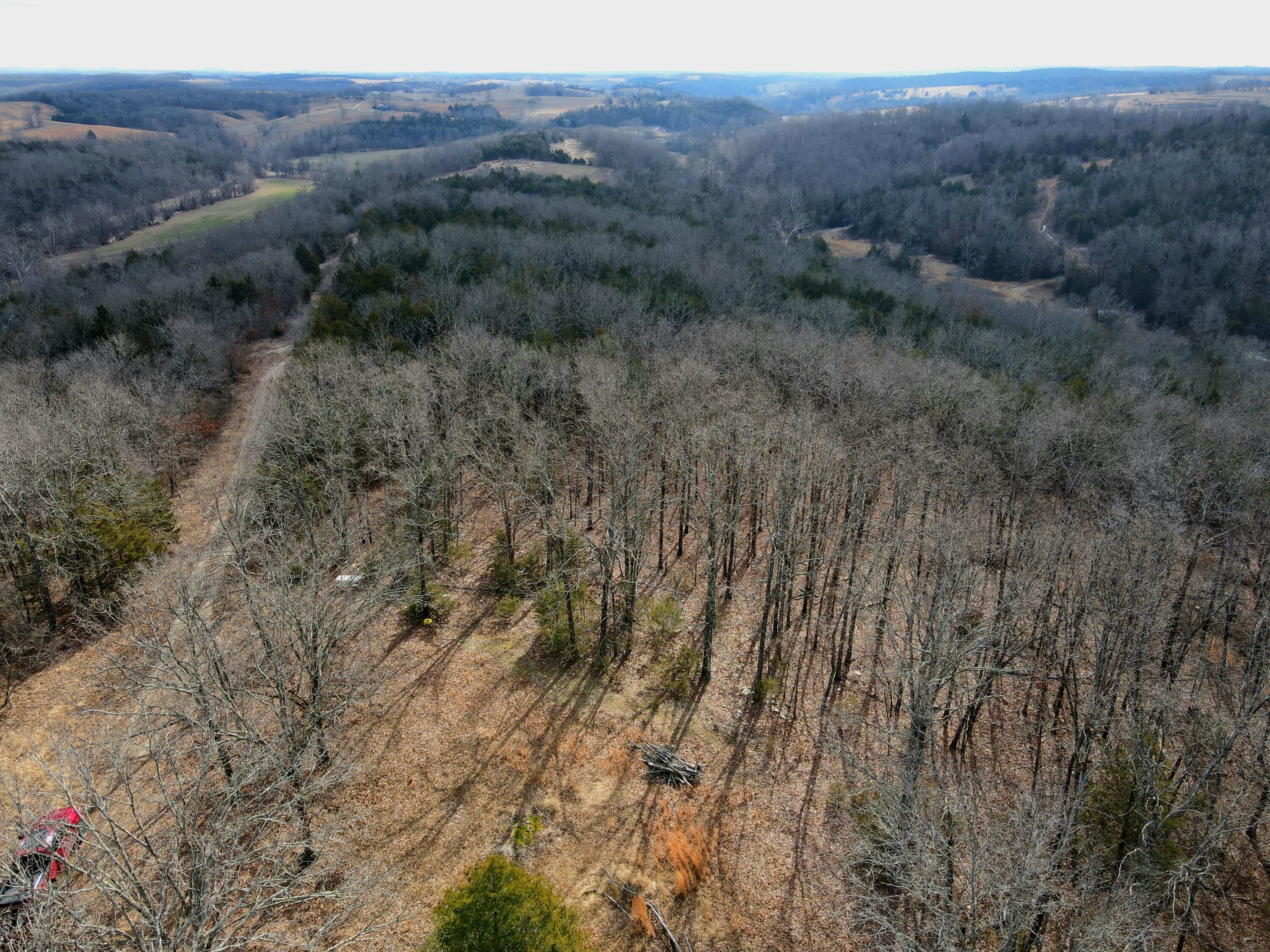 0 Hickory Flats Road Ava, MO 65608 - Photo 43 of 46 dji_fly_20250123_113320_263_173767863667