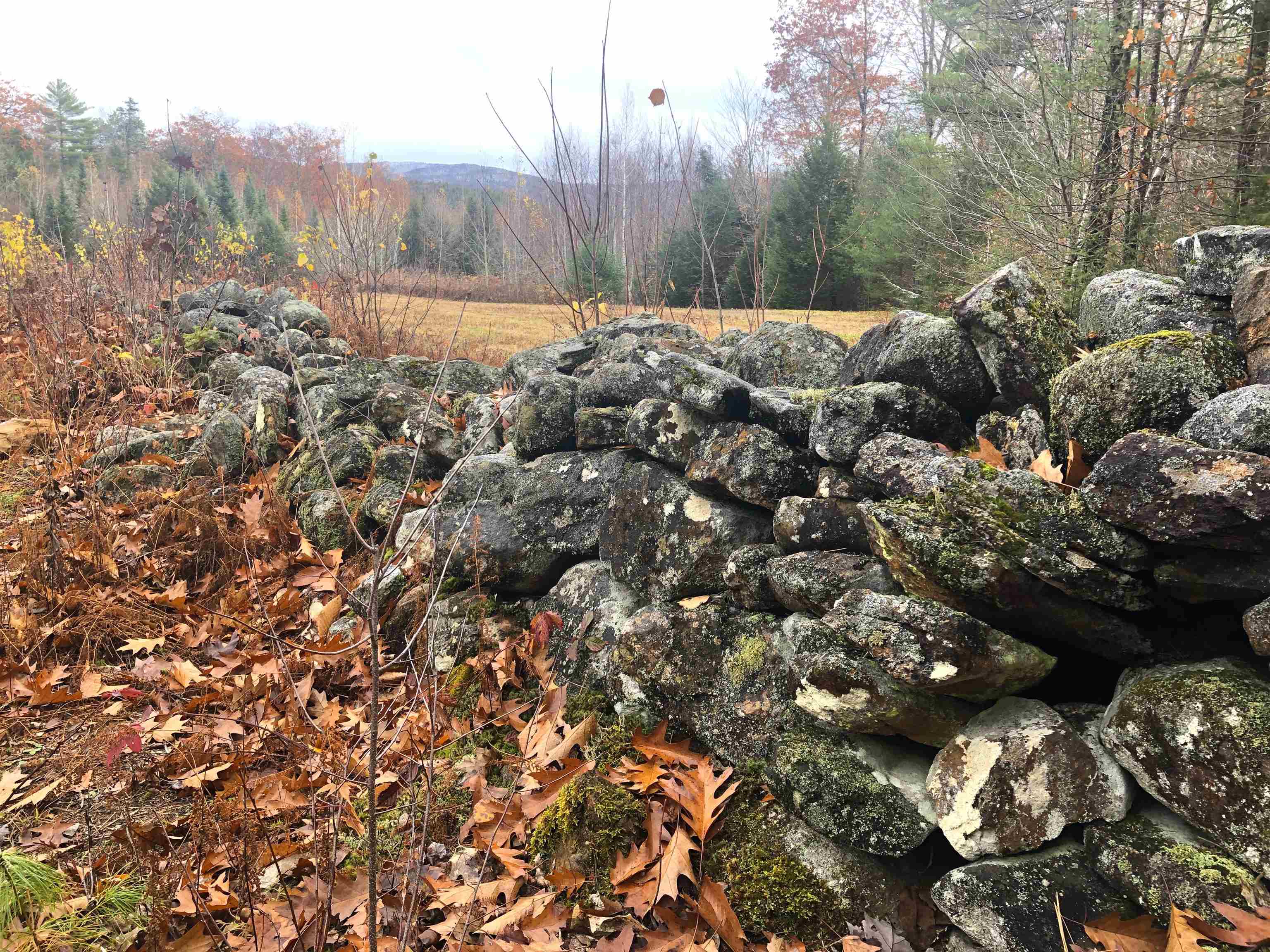 Page Road Campton, NH 03223 - Photo 11 of 12