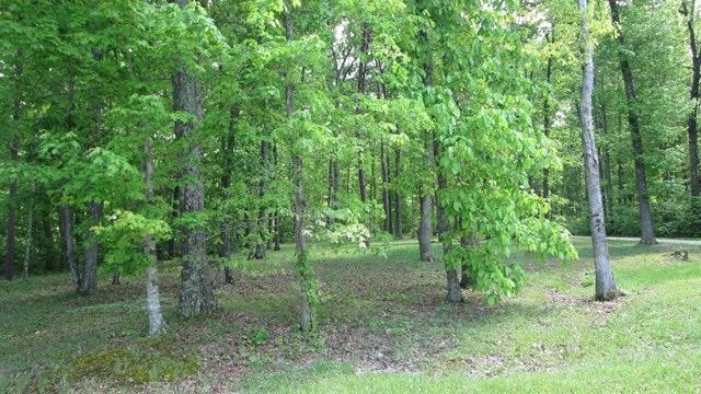1 Hall Road Flemingsburg, KY 41041 - Photo 2 of 3 Photo 2