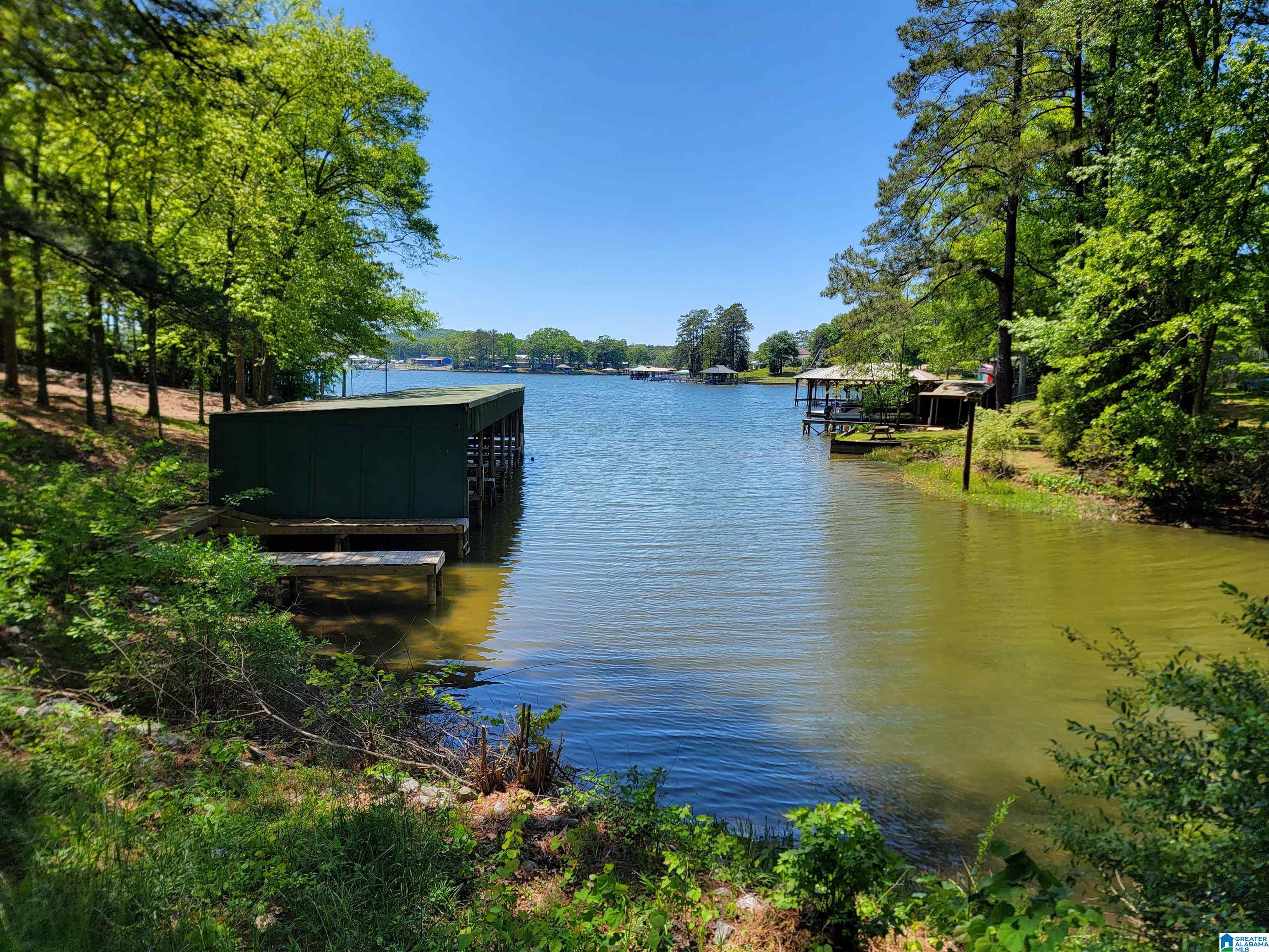 0 Clearwater Point Road, Unit 5 Cropwell, AL 35054 - Photo 7 of 15