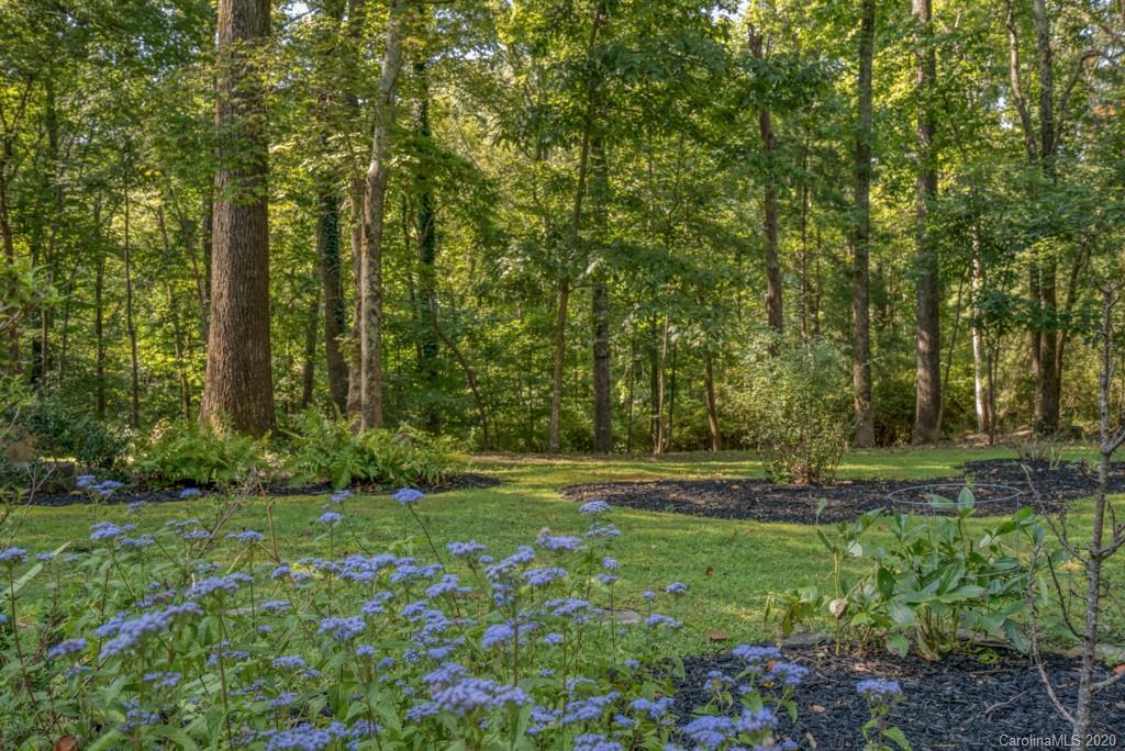 2437 Hunting Country Road Tryon, NC 28782 - Photo 45 of 48