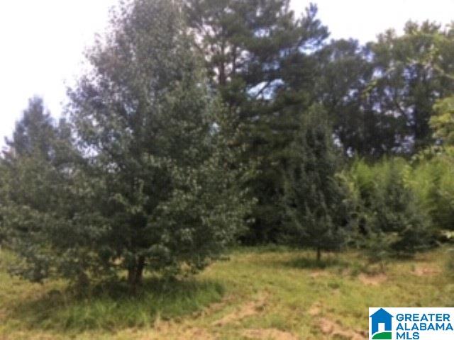 0 Hackney Street, Unit 8 29 ACRES Lincoln, AL 35096 - Photo 15 of 18