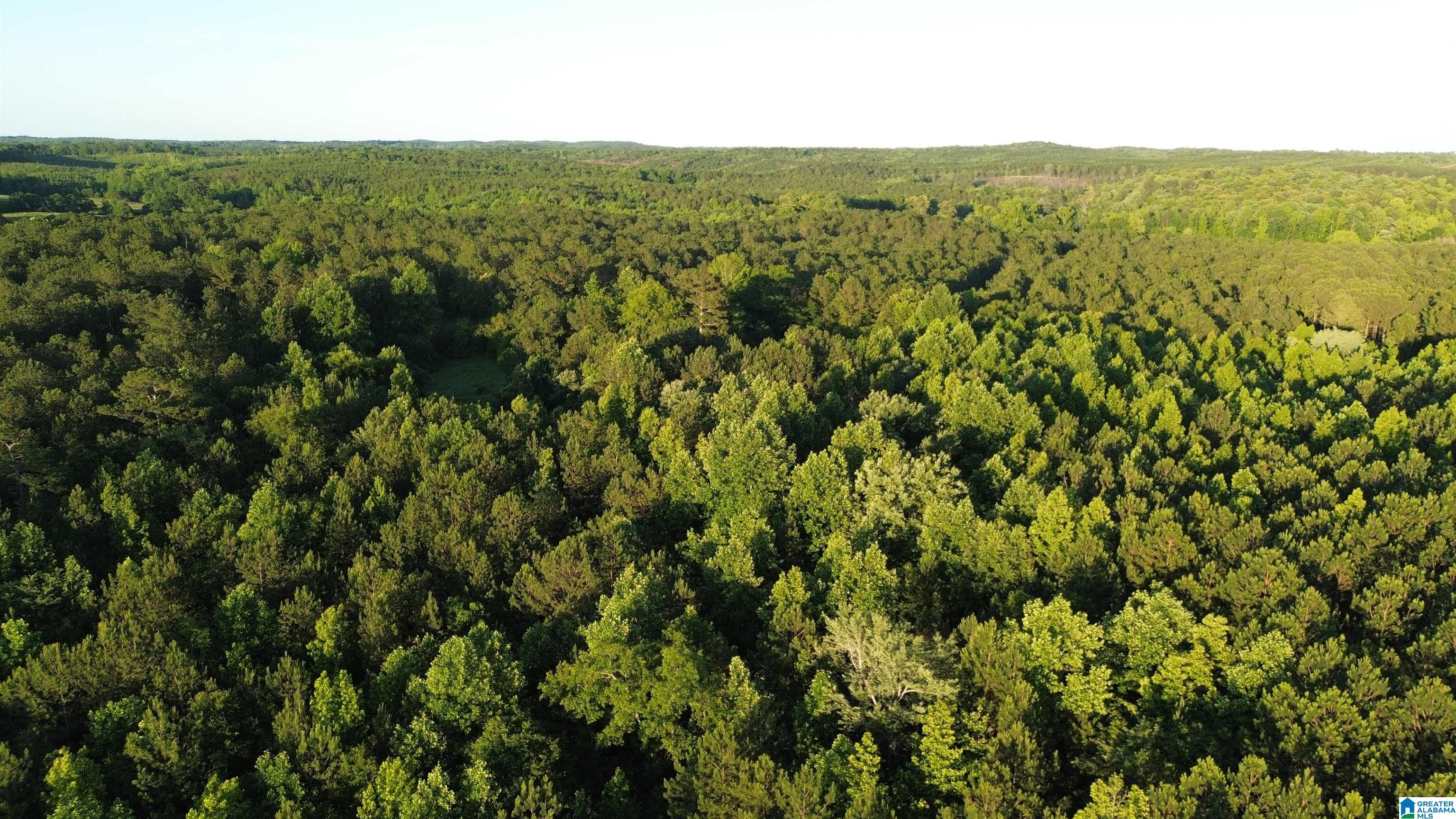 0 Bluff Springs Road Ashland, AL 36251 - Photo 1 of 8