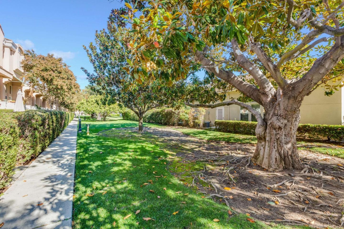 135 Frederick Court Mountain View, CA 94043 - Photo 51 of 63