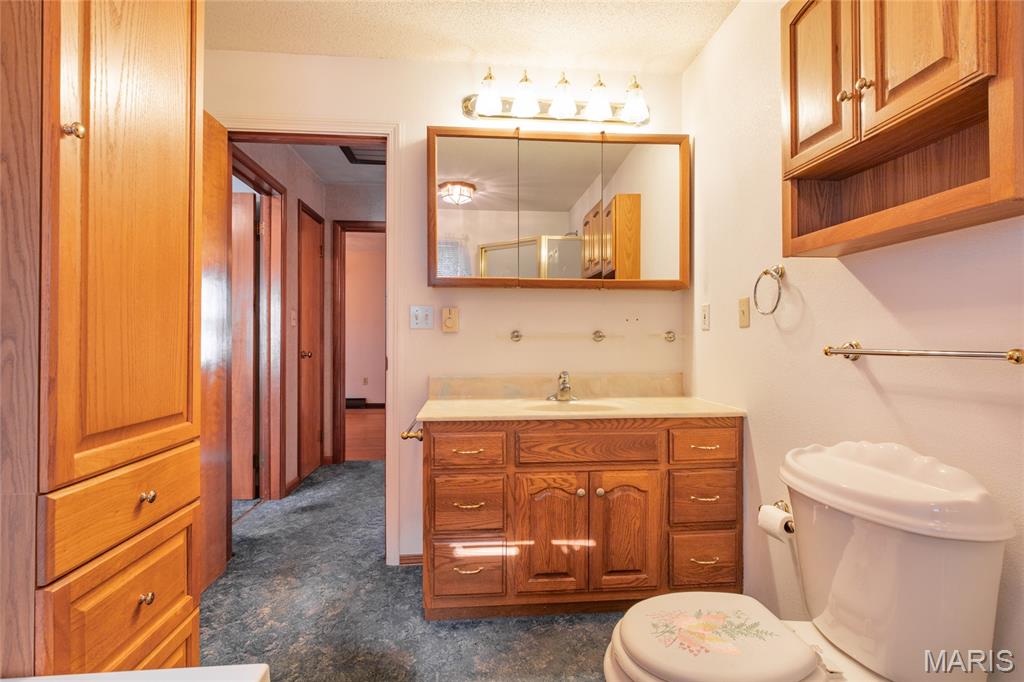 107 South Park Street Brighton, IL 62012 - Photo 39 of 52