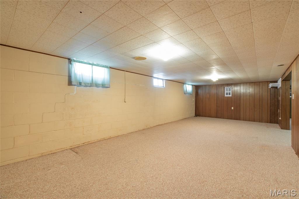 107 South Park Street Brighton, IL 62012 - Photo 48 of 52