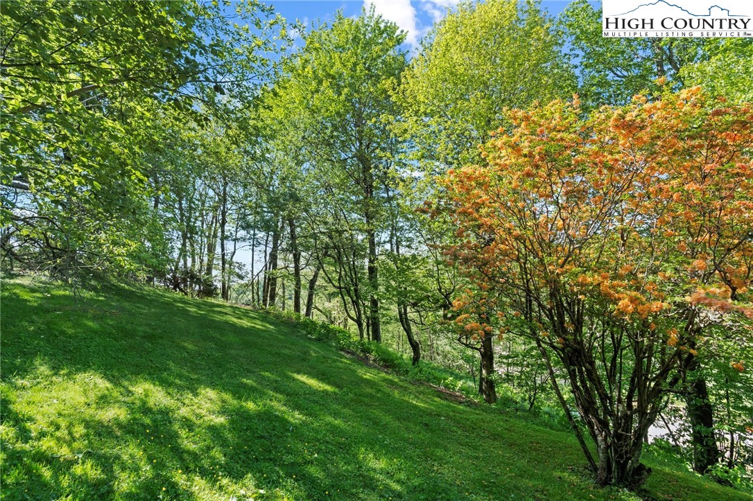 405 Belmont Drive Boone, NC 28607 - Photo 42 of 44