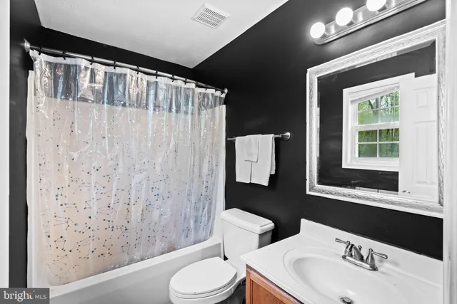 a bathroom with a sink a toilet and shower curtain