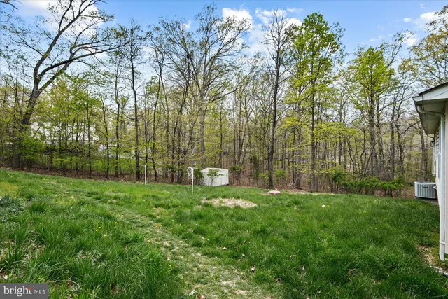 a backyard of a house with lots of green space