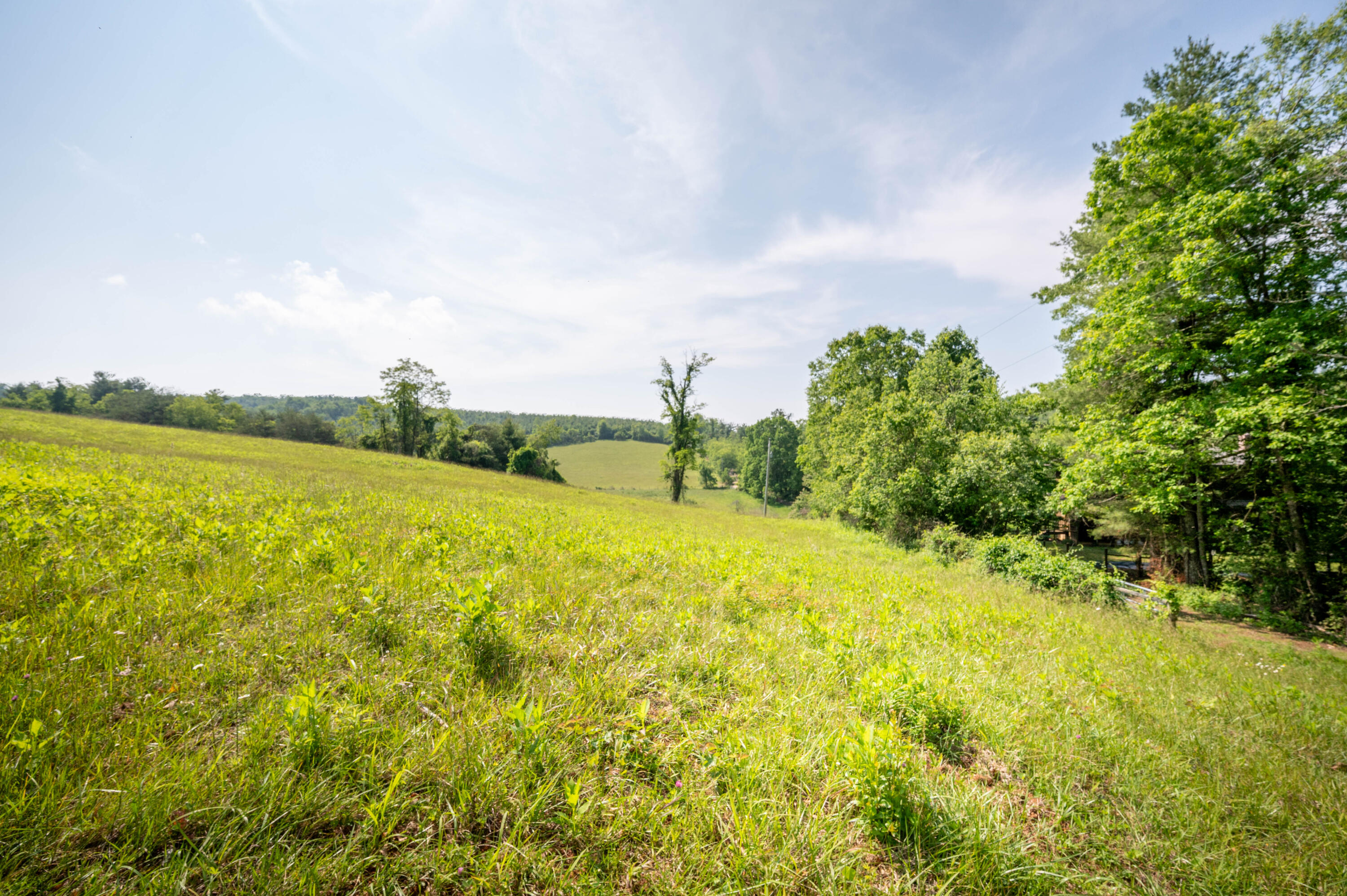 1073 Timberline Road Southeast Copper Hill, VA 24079 - Photo 5 of 56 4