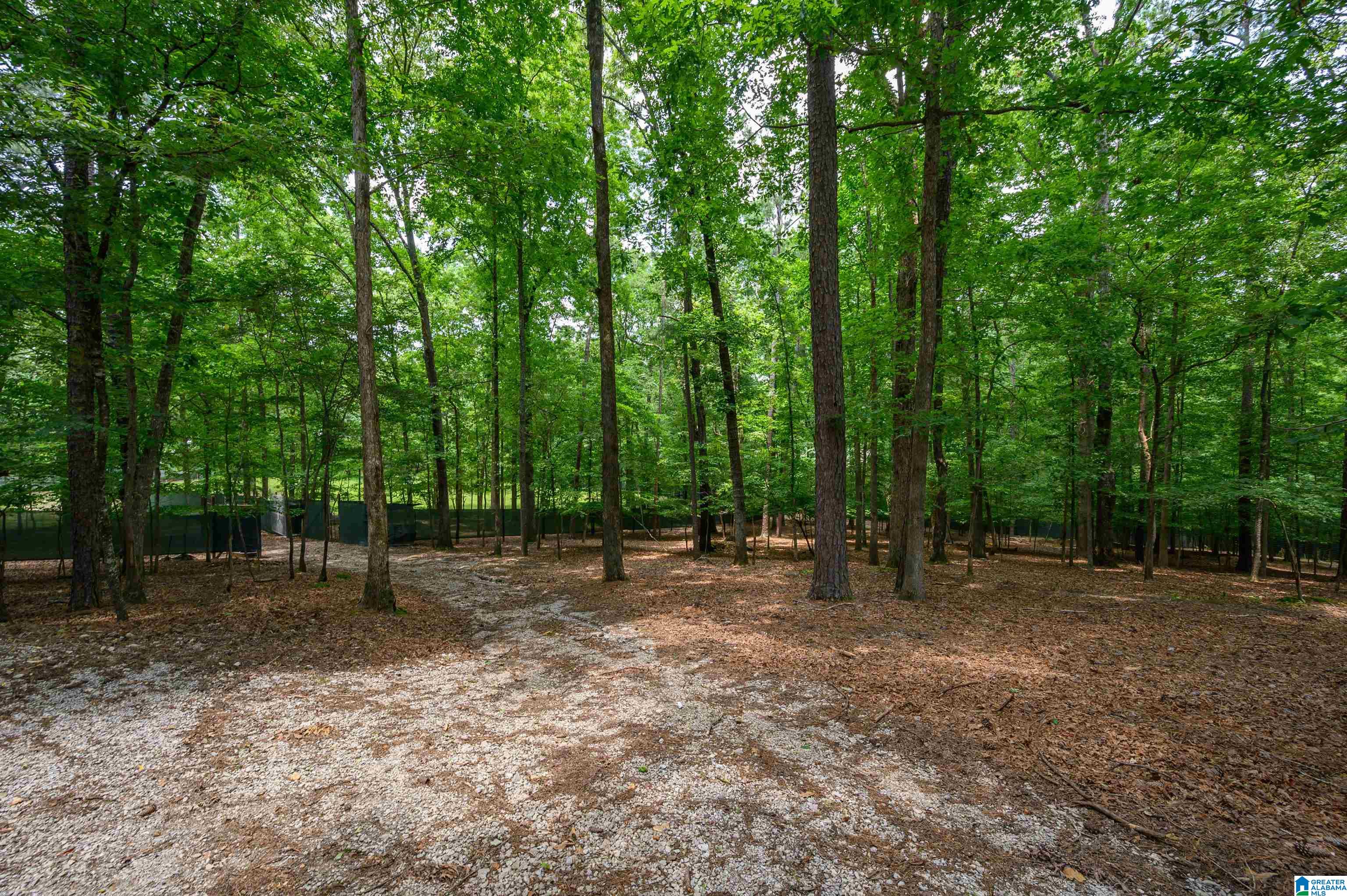 517 Hodgens Road Chelsea, AL 35043 - Photo 55 of 79
