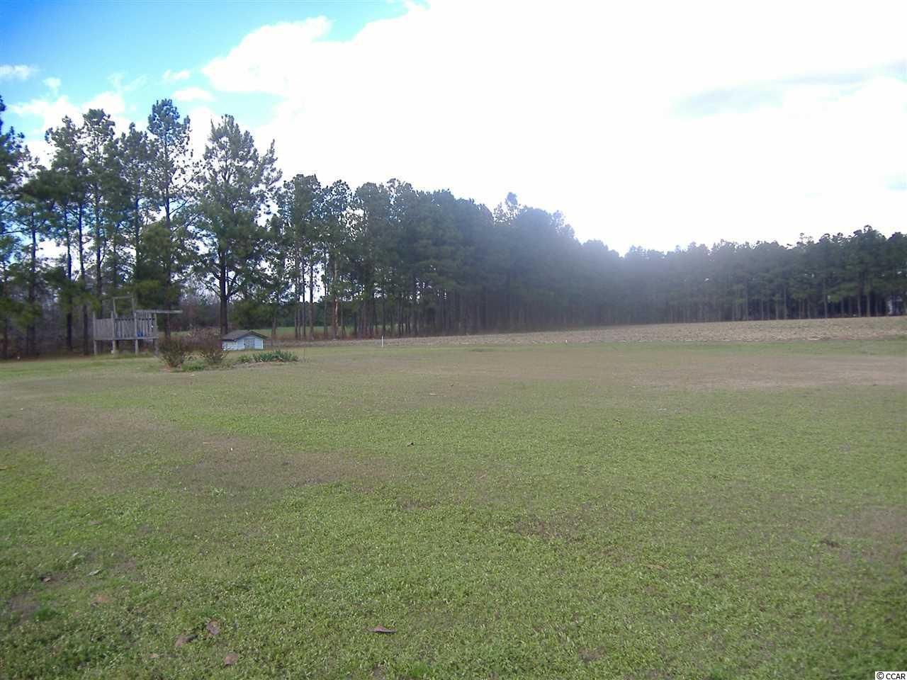 1531 Green Sea Road Green Sea, SC 29545 - Photo 25 of 25 Gallery Image 25