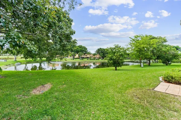 a view of a park with large trees