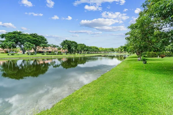 a view of a lake with a yard and a large tree