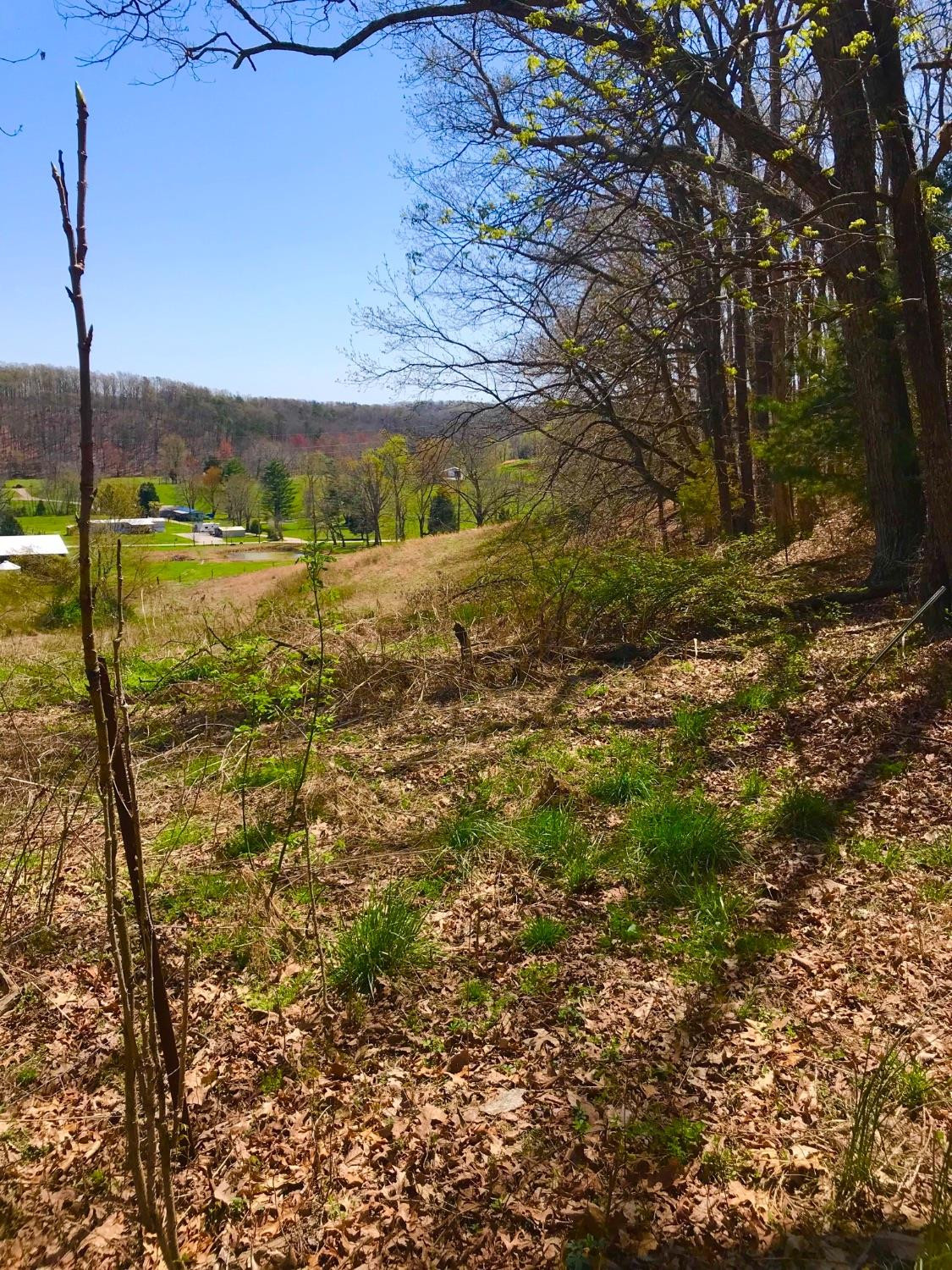 1 Donohue Road Owingsville, KY 40360 - Photo 4 of 9 Photo 4