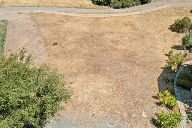 a view of a dry yard with wooden floor