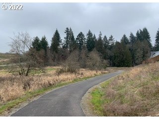 2354 South Trail View Ridgefield, WA 98642 - Photo 26 of 26 a view of a yard with mountain