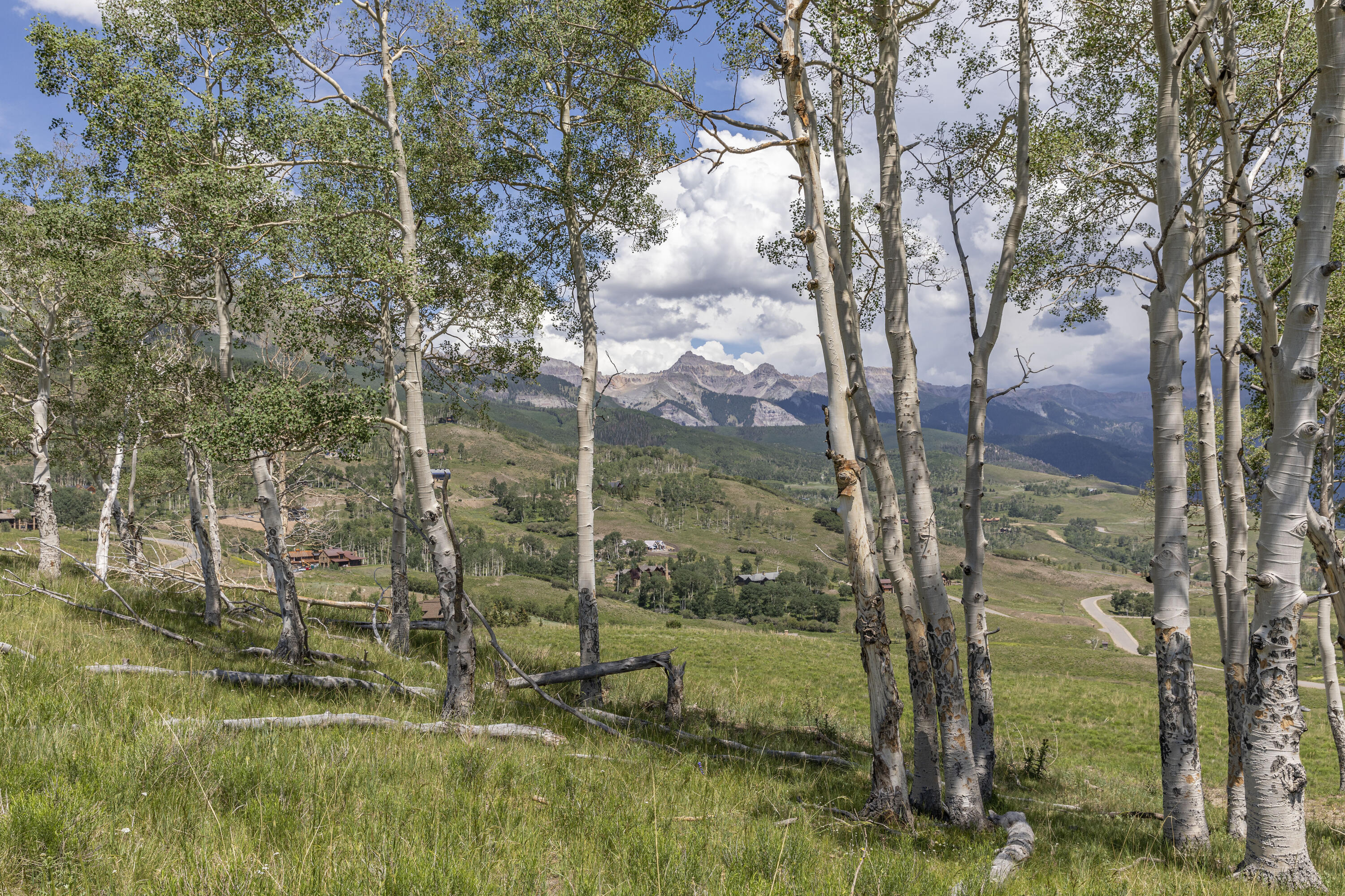 Tbd Basque Telluride, CO 81435 - Photo 4 of 10 AspensEmma
