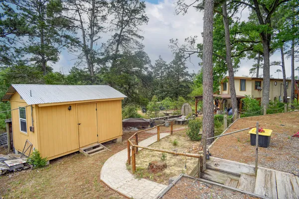 a view of a backyard that has a tree