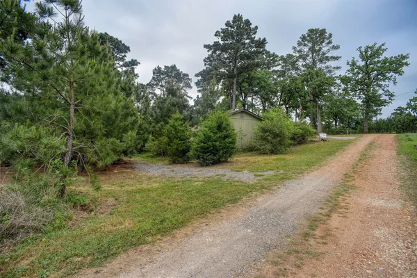a view of a yard with a tree