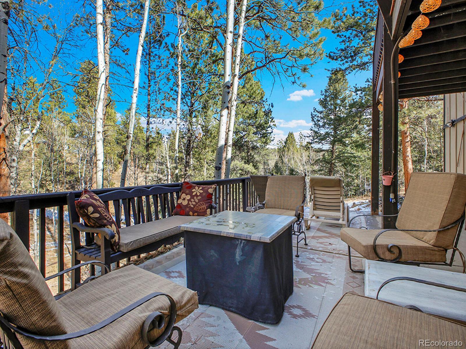 638 Impala Trail Bailey, CO 80421 - Photo 33 of 50