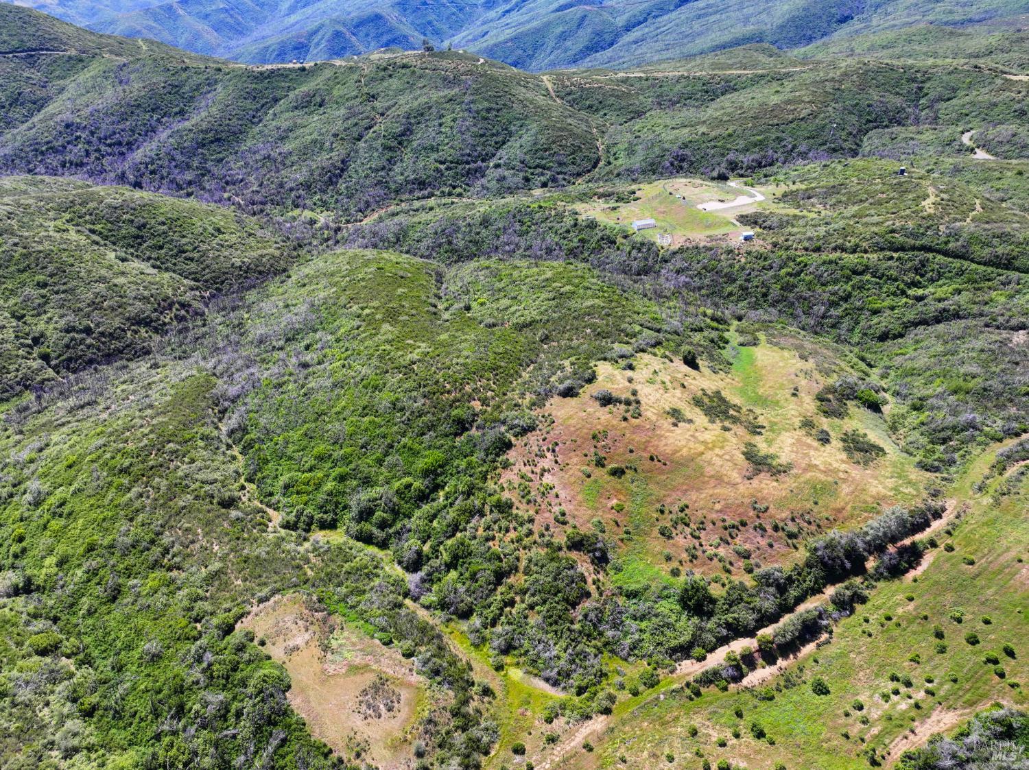 0 Blue Ridge Road Vacaville, CA 95688 - Photo 3 of 13 a view of a forest with a forest