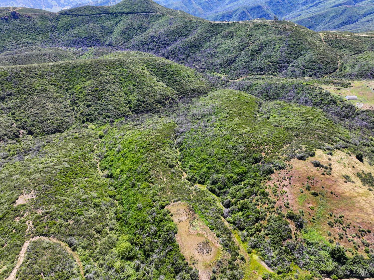 0 Blue Ridge Road Vacaville, CA 95688 - Photo 9 of 13 a view of a lush green forest with a mountain