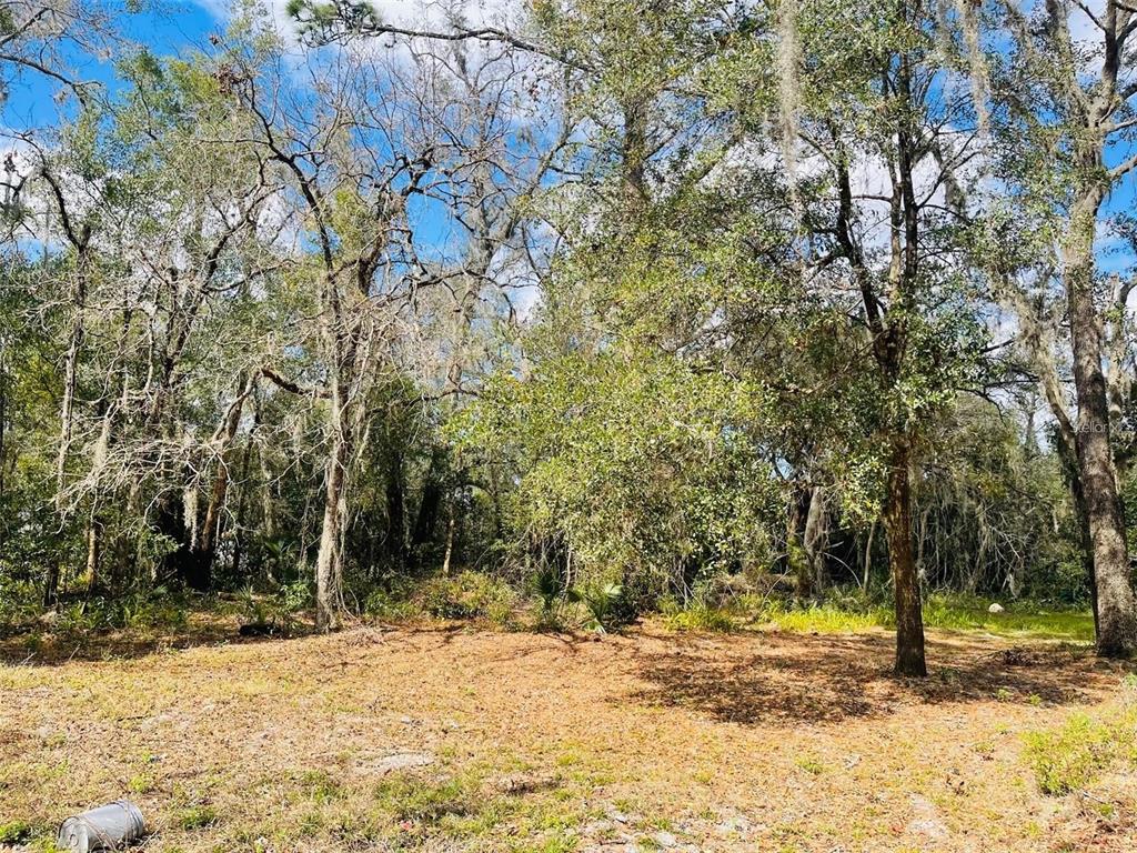 314 South Country Club Road Lake Mary, FL 32746 - Photo 6 of 10 Gallery Image 6