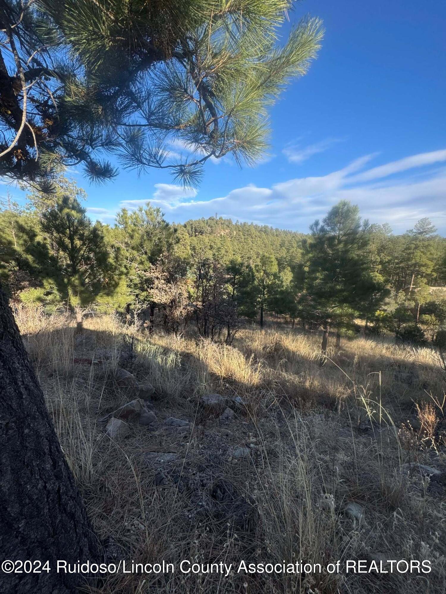 110 Wilshire Road Ruidoso, NM 88345 - Photo 1 of 1 5