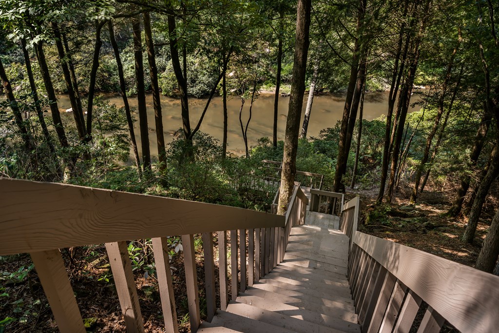 263 Indian Cave Road Ellijay, GA 30536 - Photo 32 of 50