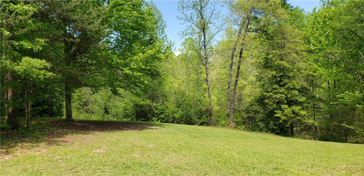 110 Cooper Road Westminster, SC 29693 - Photo 6 of 17 Gallery Image 6