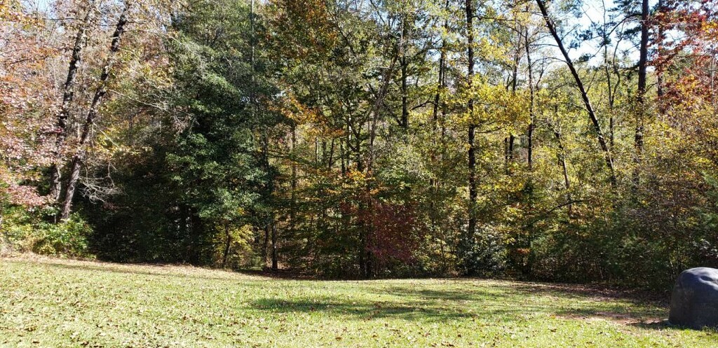 110 Cooper Road Westminster, SC 29693 - Photo 8 of 17 Gallery Image 8
