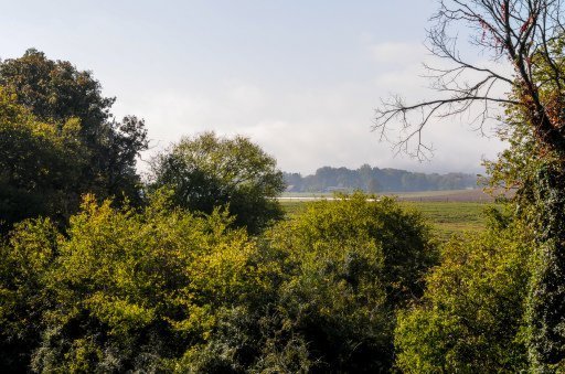 2641 Mint Road Maryville, TN 37803 - Photo 36 of 38 Additional Photo