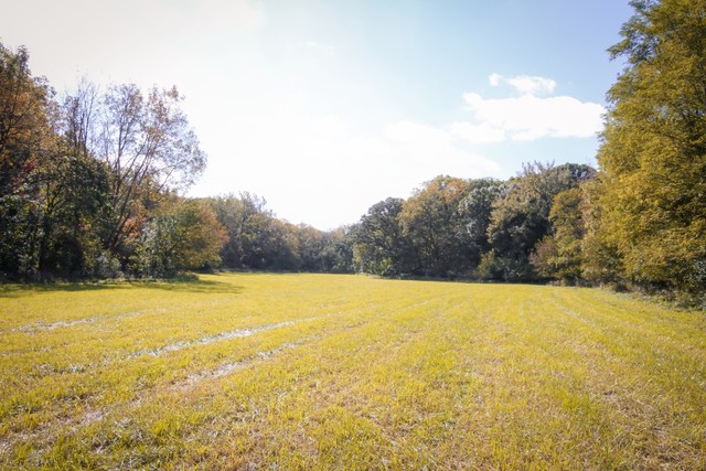 454 B Carlock Road Carlock, IL 61725 - Photo 9 of 12