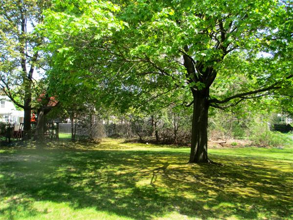 10 Keith Road Reading, MA 01867 - Photo 17 of 18 Gallery Image 17