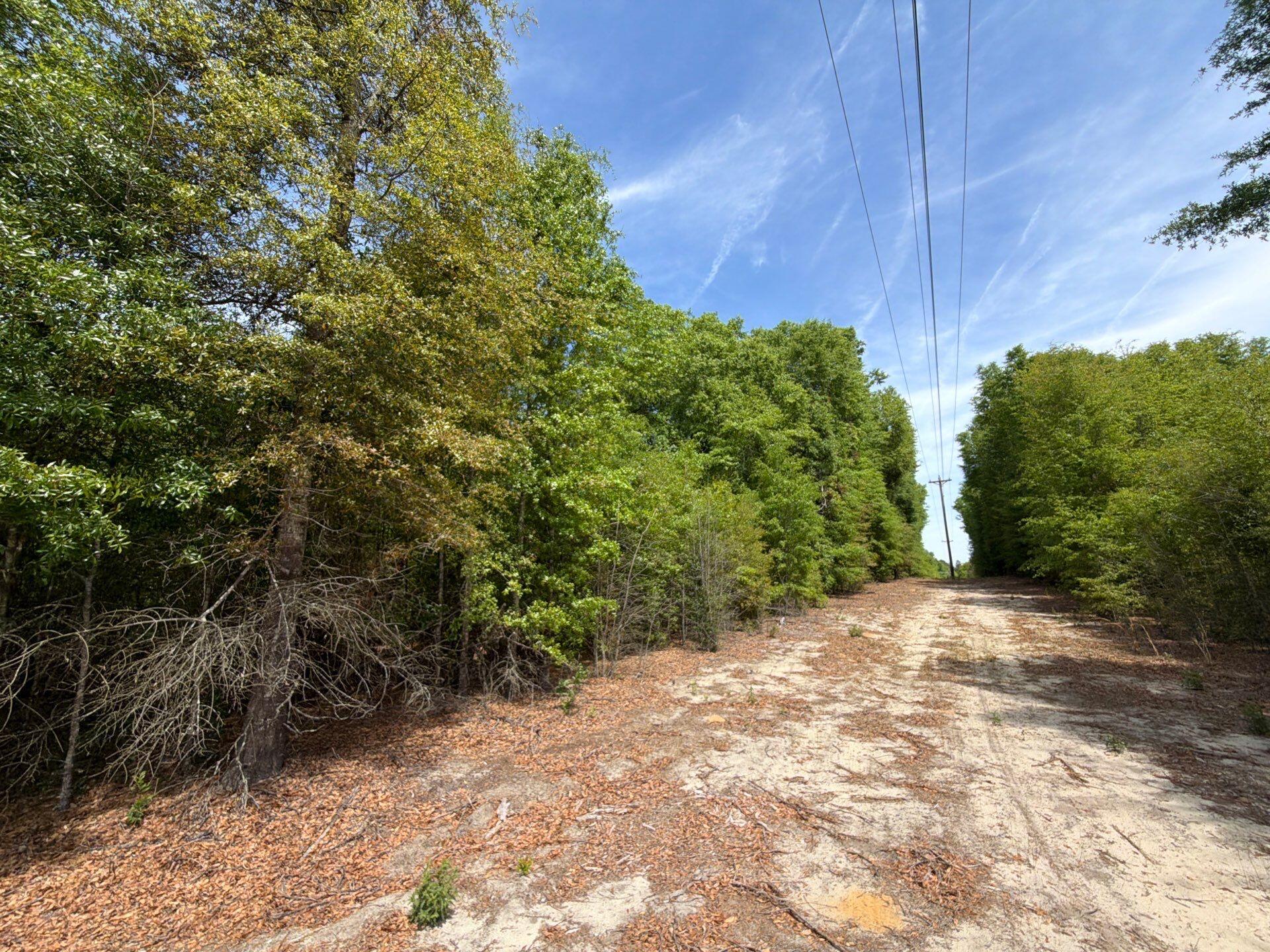 5 Rogers Cemetery Road, Unit RRF 5 Salley, SC 29137 - Photo 5 of 24