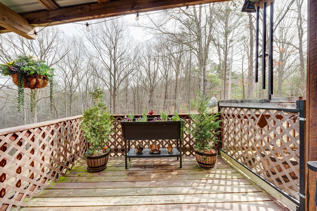 256 Boot Legger Road Morganton, GA 30560 - Photo 36 of 41