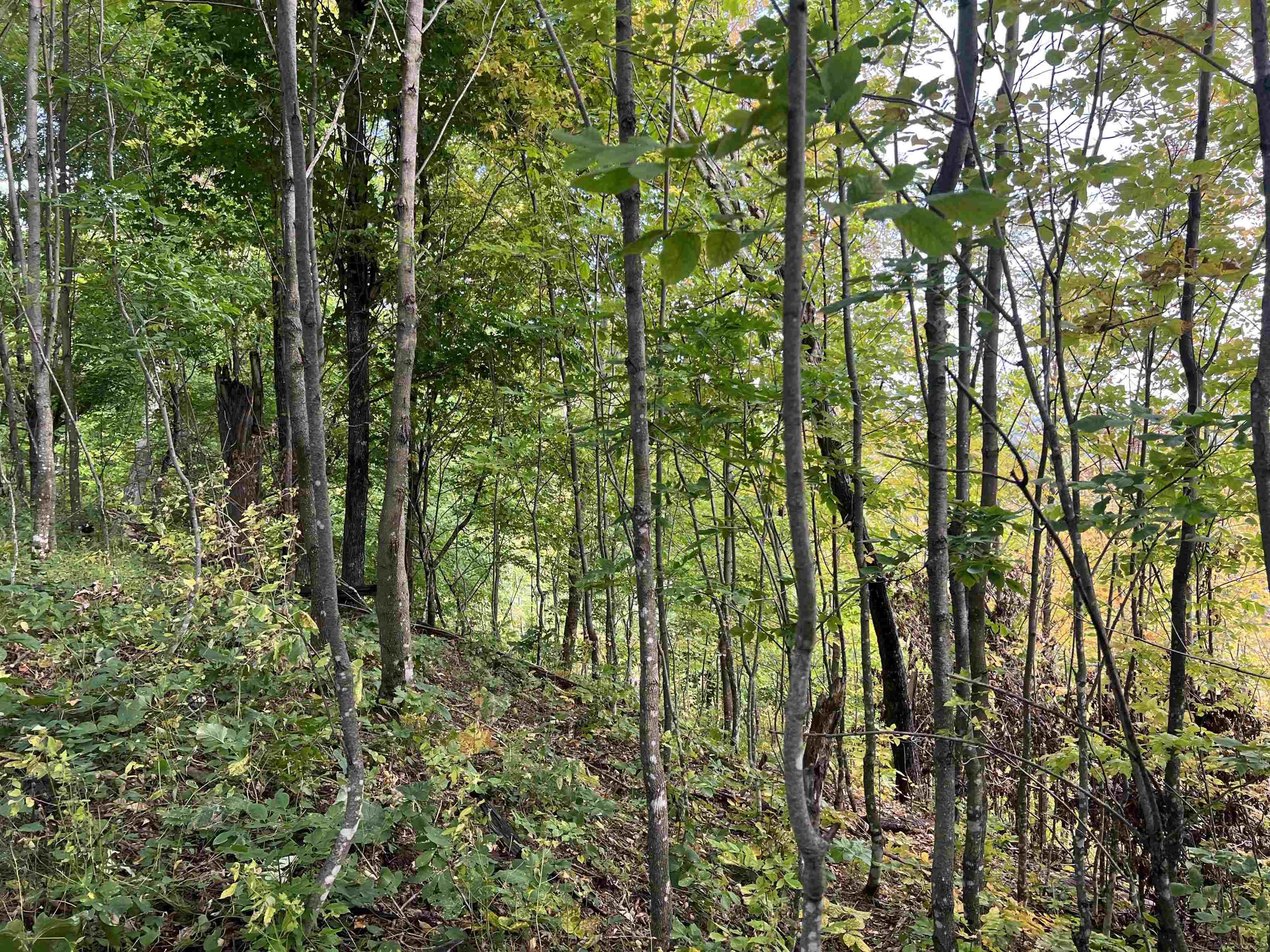 Xxx Ford River Road Felch, MI 49831 - Photo 2 of 32 Gallery Image 2