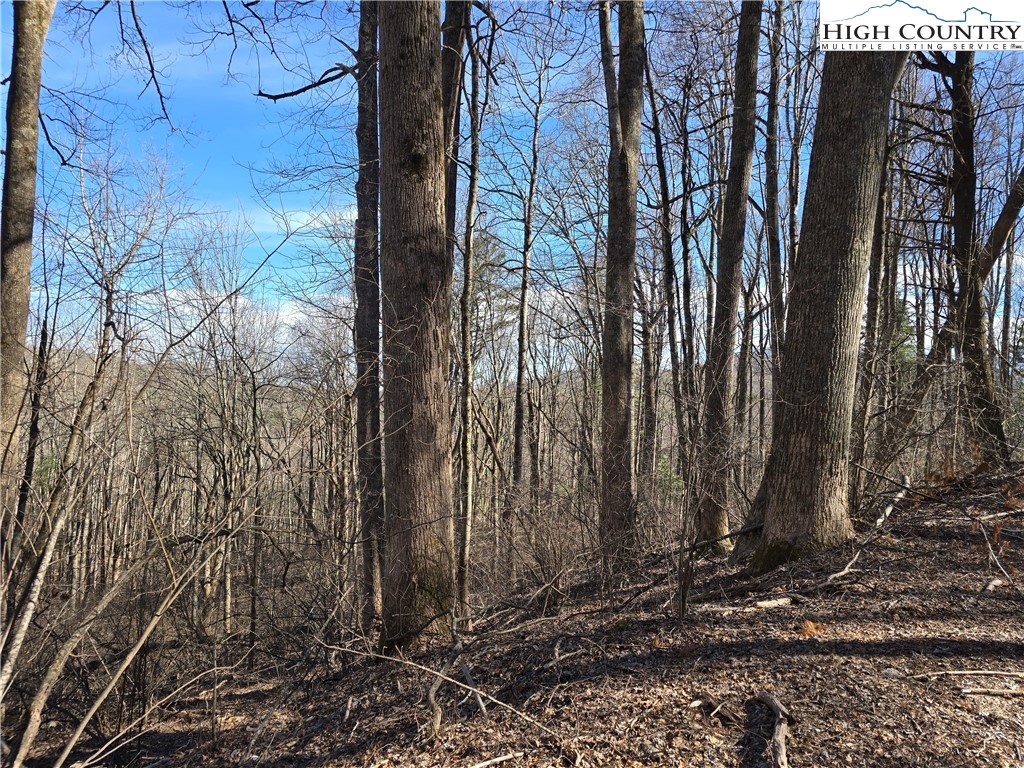 Parkway Estates Road Laurel Springs, NC 28644 - Photo 2 of 6 a view of a backyard of the house