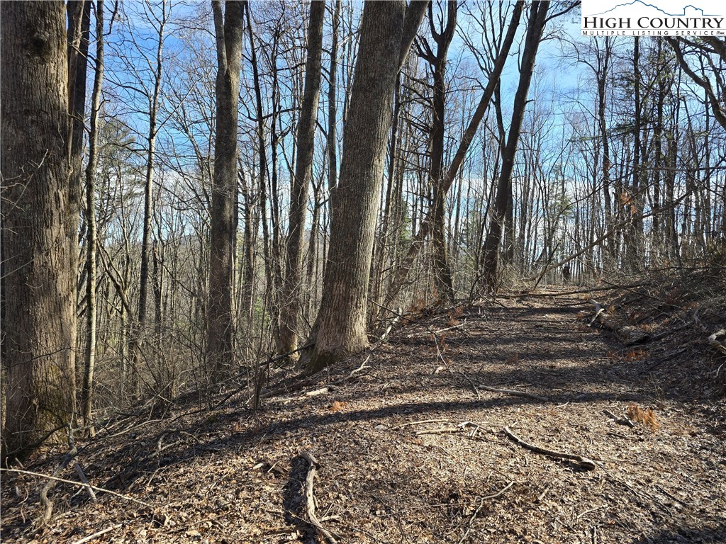 Parkway Estates Road Laurel Springs, NC 28644 - Photo 3 of 6 a view of a backyard of the house