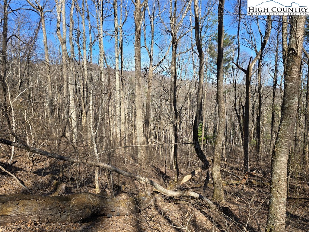 Parkway Estates Road Laurel Springs, NC 28644 - Photo 4 of 6 a view of small yard
