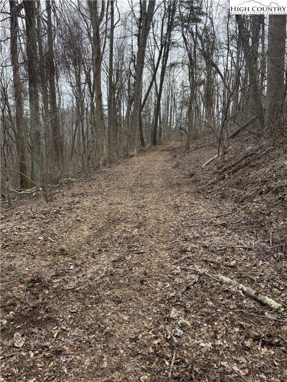 Parkway Estates Road Laurel Springs, NC 28644 - Photo 5 of 6 a view of a yard with trees