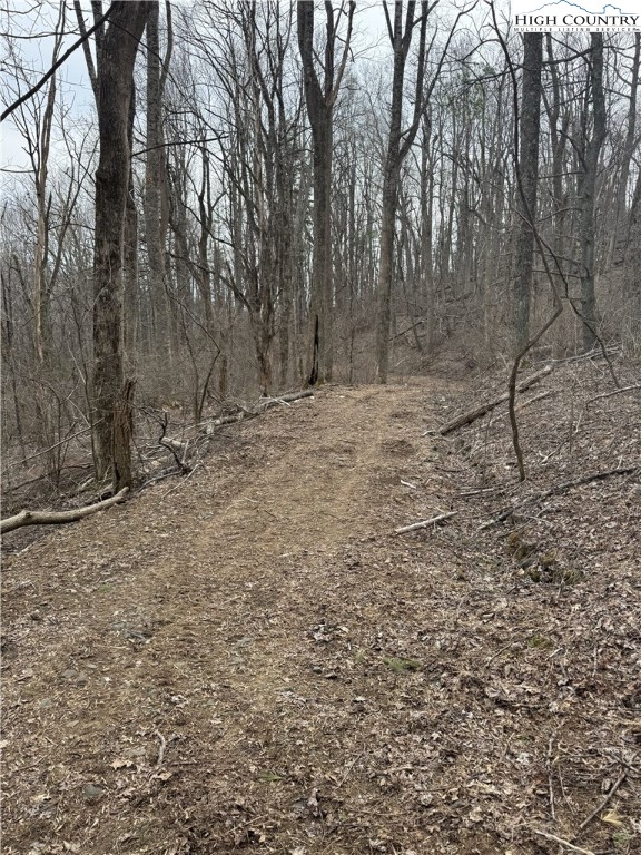 Parkway Estates Road Laurel Springs, NC 28644 - Photo 6 of 6 a view of a yard with trees