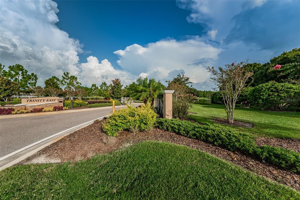 1345 Halapa Way Trinity, FL 34655 - Photo 81 of 93