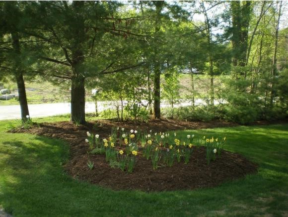 169 Wilkins Road Fairfax, VT 05454 - Photo 26 of 32