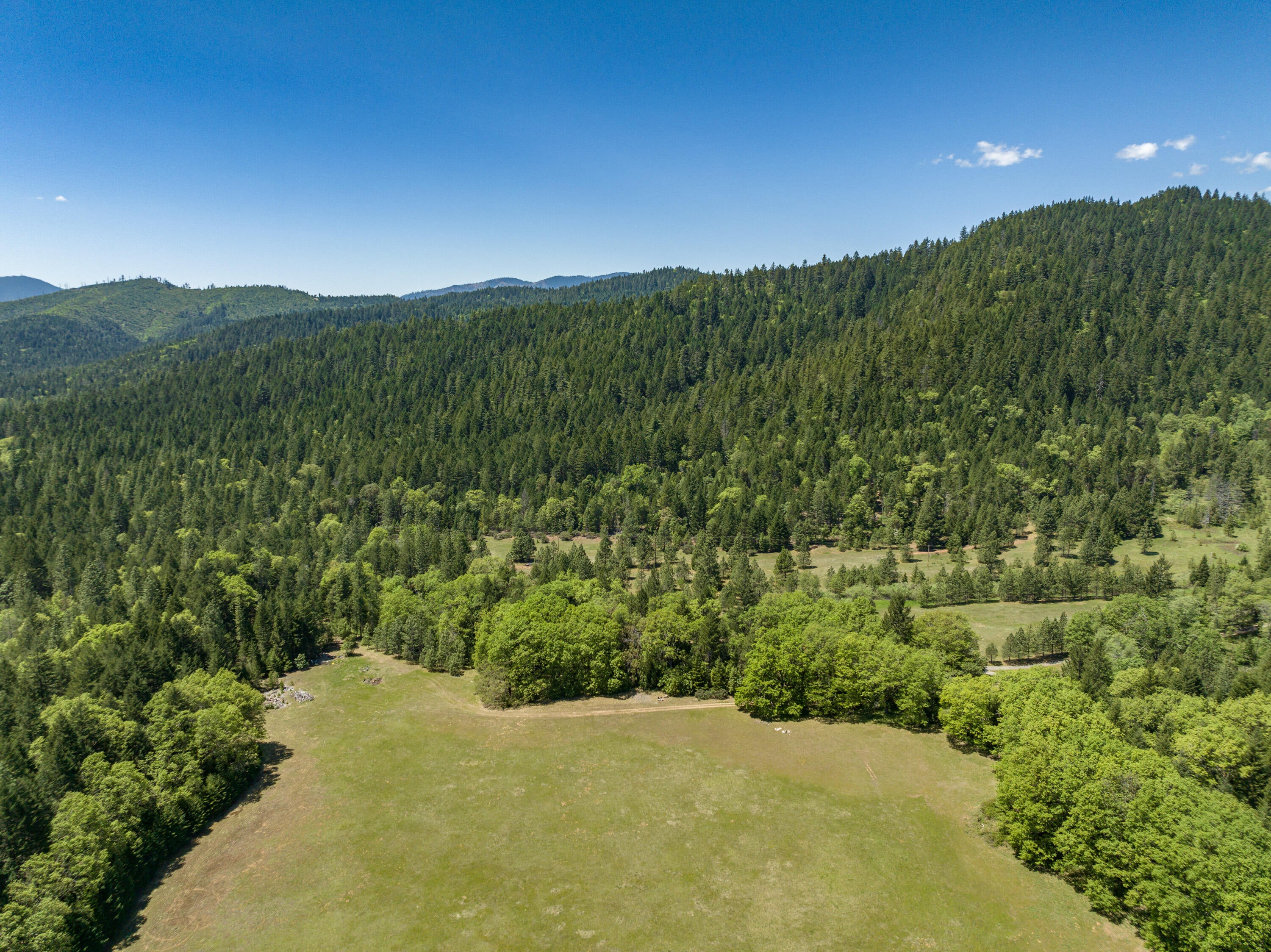 2930 Crooks Creek Road Grants Pass, OR 97527 - Photo 48 of 58 Crowl Family Ranch (45)
