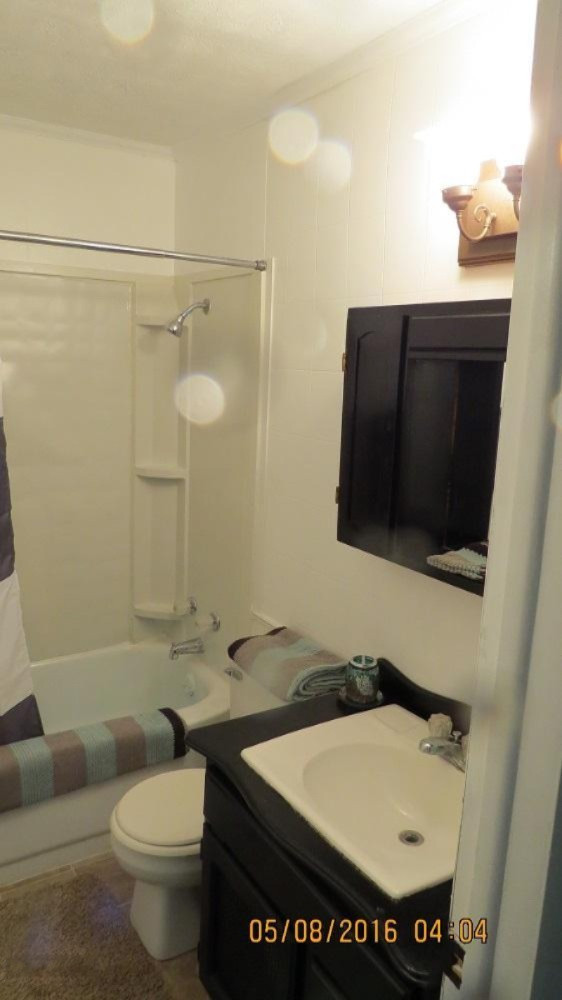 481 River Road Hastings, MI 49058 - Photo 13 of 20 River Full Bath