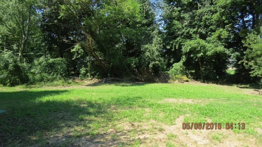 481 River Road Hastings, MI 49058 - Photo 3 of 20 River back yard