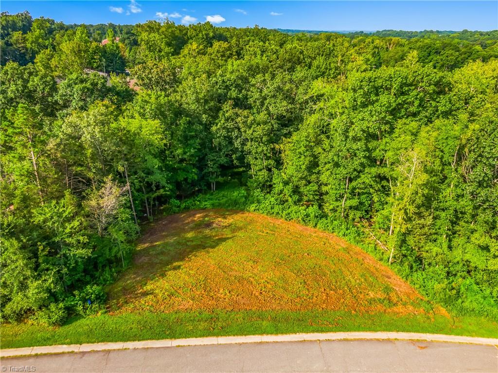 163 North Emily Court High Point, NC 27265 - Photo 11 of 13